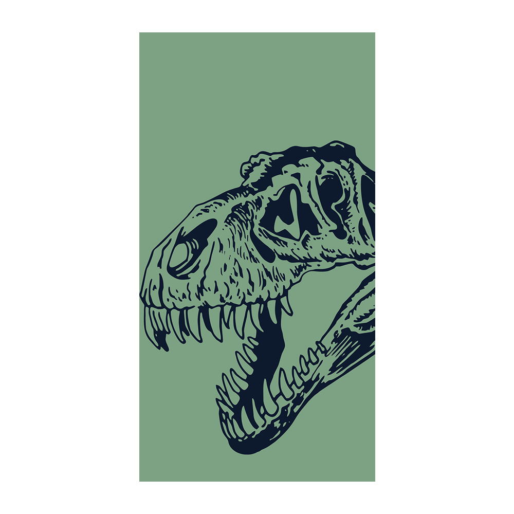 Capinha Dinossauro - 15