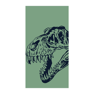 Capinha Dinossauro - 15