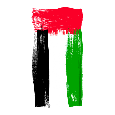 Capinha Bandeira Emirados Árabes