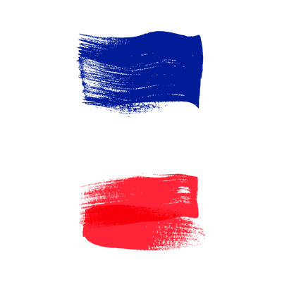 Capinha Bandeira França