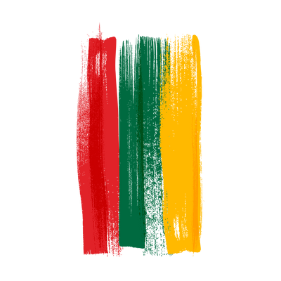 Capinha Bandeira Lituânia