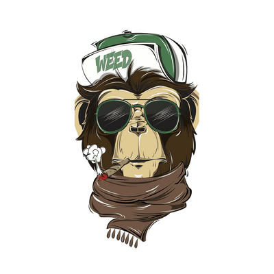 Capinha Macaco - 3