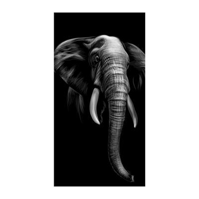 Capinha Elefante - 10