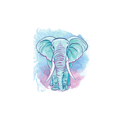 Capinha Elefante - 2
