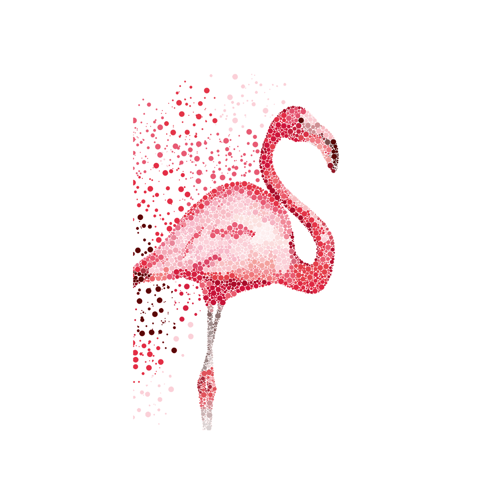 Capinha Flamingos - 20