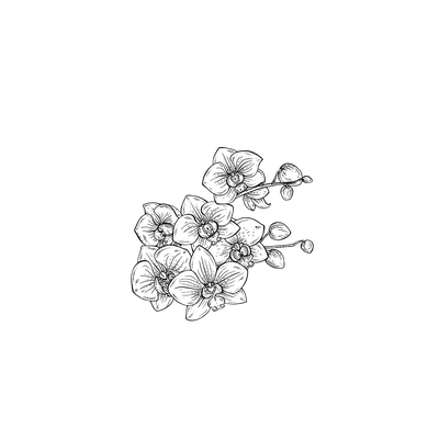 Capinha - Flor de orquídea - 1
