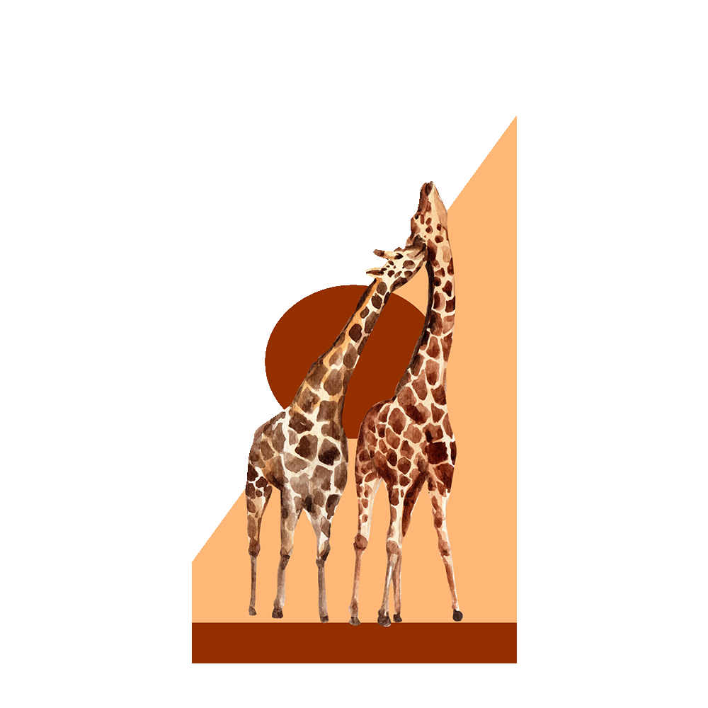 Capinha Girafa - 20