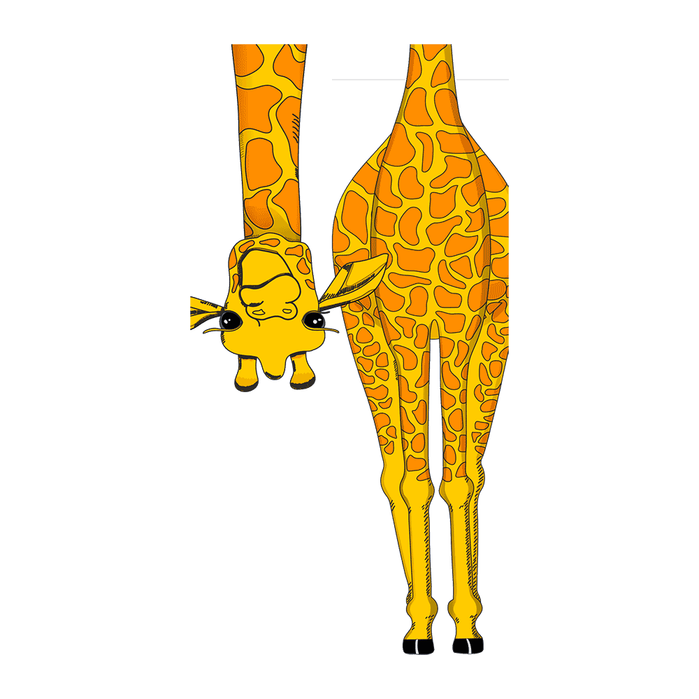 Capinha Girafa - 4