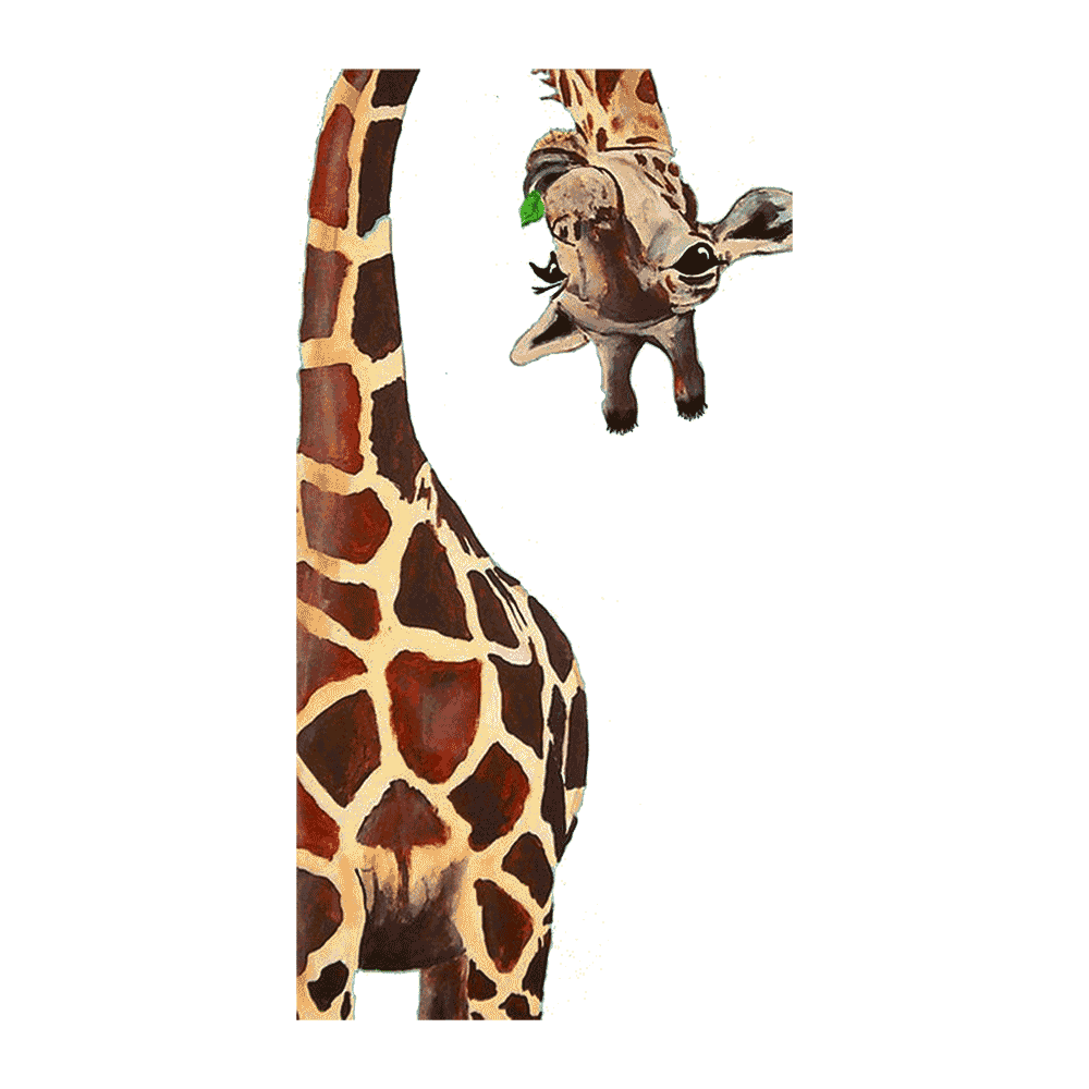 Capinha Girafa - 5