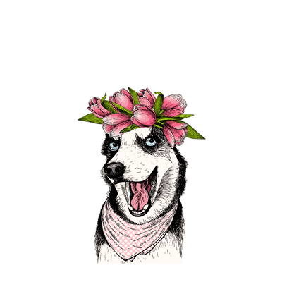 Capinha Dog - Husky Siberiano - 1