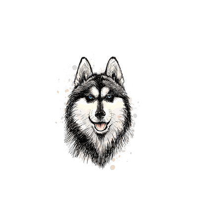 Capinha Dog - Husky Siberiano - 4
