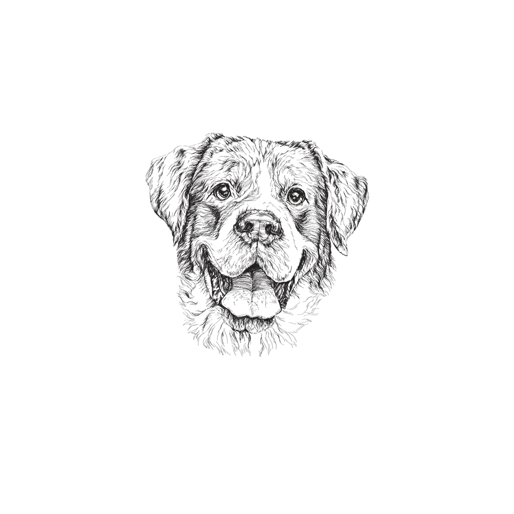 Capinha Dog - Rottweiler - 1