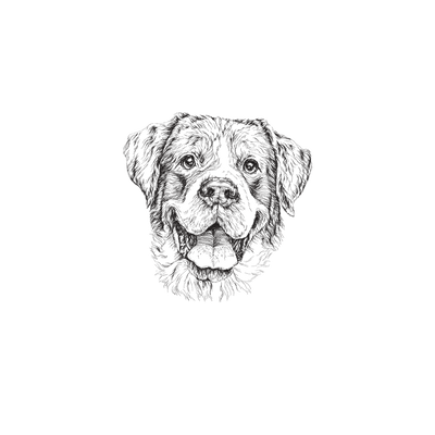 Capinha Dog - Rottweiler - 1