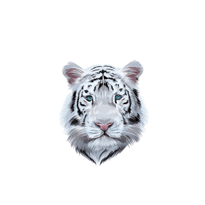 Capinha Tigre com nome - 1
